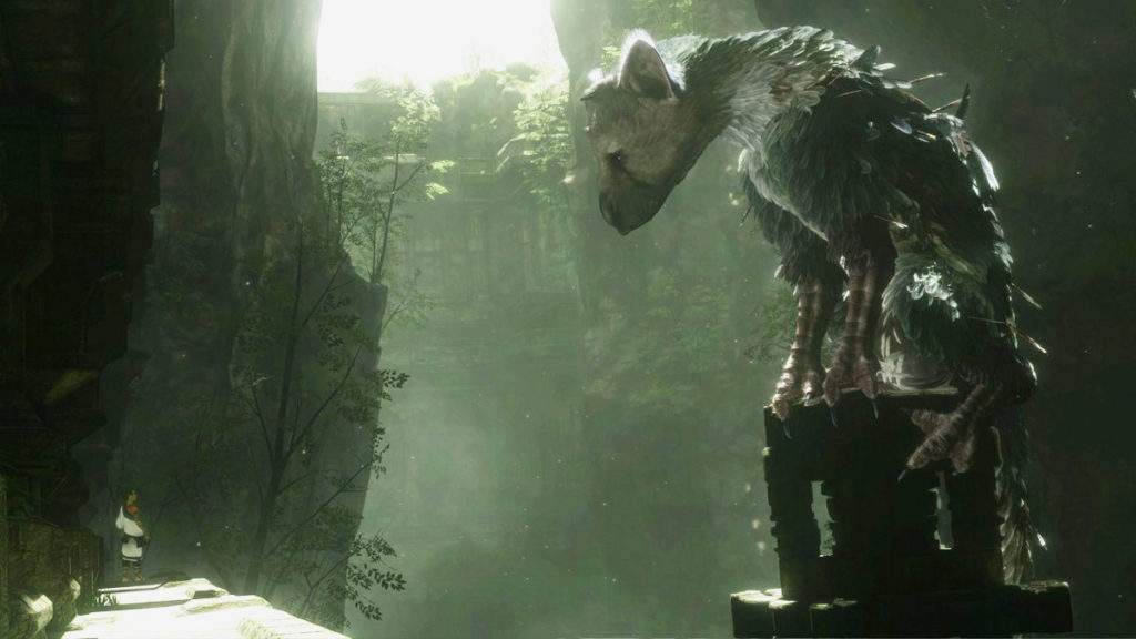 trico-ft